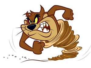 tasmanian devil strikes australian