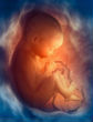 Each child is a gift from God (Science photo library). Image of Each child is a gift from God (Science photo library).