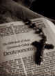 Archaeologists discover evidence of the Bible's Deuteronomy 8:8 (LobsterBibby). Image of Archaeologists discover evidence of the Bible's Deuteronomy 8:8 (LobsterBibby).
