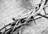 Lent should be about living the Gospel every day. Image of Lent should be about living the Gospel every day.