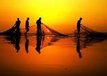 Lower your nets for a catch Image of Lower your nets for a catch