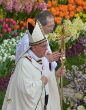 Image of