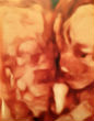 (Mercury Press) Image of (Mercury Press)