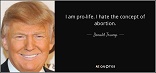 Republican Presidential Candidate Donald Trump Image of Republican Presidential Candidate Donald Trump
