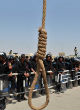 2016 is the year of executions (BI). Image of 2016 is the year of executions (BI).