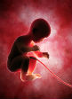 Unsurprisingly, at 20-weeks-old, an unborn child reacts to painful stimuli (dovemed). Image of Unsurprisingly, at 20-weeks-old, an unborn child reacts to painful stimuli (dovemed).