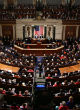 House Republicans halt the hostile amendment in its tracks (EPA). Image of House Republicans halt the hostile amendment in its tracks (EPA).