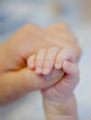 Image of