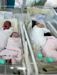 Abortion rates rise in wake of Zika epidemic. Image of Abortion rates rise in wake of Zika epidemic.