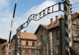 Pope Francis to visit Auschwitz. Image of Pope Francis to visit Auschwitz.