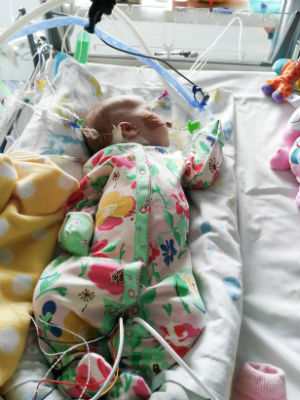(Photo by: Ciara Wilkinson/Irish Mirror) (Photo by: Ciara Wilkinson/Irish Mirror)