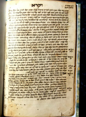 The scroll revealed part of Leviticus. The scroll revealed part of Leviticus.