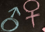 Pope Francis challenges gender theory. Image of Pope Francis challenges gender theory.
