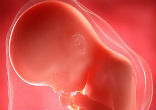 Priest under fire for using aborted baby in Trump endorsement. Image of Priest under fire for using aborted baby in Trump endorsement.