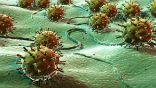 The Spanish Flu killed between three and six percent of the world's population in just two years. Image of The Spanish Flu killed between three and six percent of the world's population in just two years.