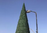 Yassir Saad purchased Baghdad's tallest Christmas tree. Image of Yassir Saad purchased Baghdad's tallest Christmas tree.