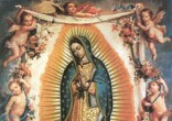 Pope tells us to learn from Our Lady of Guadalupe. Image of Pope tells us to learn from Our Lady of Guadalupe.
