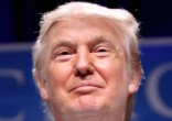 Donald Trump won the Electoral College vote. Image of Donald Trump won the Electoral College vote.