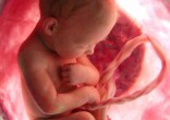 The fight for life continues. Image of The fight for life continues.