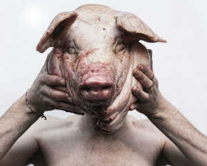 Should experiments that cross humans and animals be allowed? Should experiments that cross humans and animals be allowed?