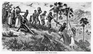An image from 1865 shows Africans being taken into slavery. One victim is being put to death arbitrarily, or for some unknown offense. An image from 1865 shows Africans being taken into slavery. One victim is being put to death arbitrarily, or for some unknown offense.