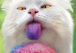 Check our some cute animals to brighten your day. Image of Check our some cute animals to brighten your day.