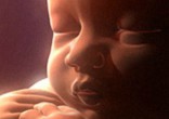 Lawmakers push to put an end to abortions. Image of Lawmakers push to put an end to abortions.