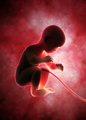 Baby or combination of cells? Baby or combination of cells?