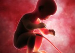 Baby or combination of cells? Image of Baby or combination of cells?