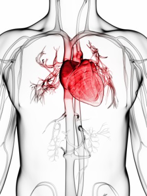 The heart transplant community will never be the same (WordPress). The heart transplant community will never be the same (WordPress).