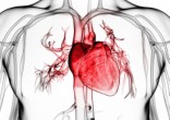 The heart transplant community will never be the same (WordPress). Image of The heart transplant community will never be the same (WordPress).