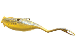 Go home evolution, you're drunk. Go home evolution, you're drunk.