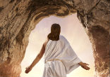 Image of