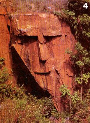 Will stones literally 'cry out' (Ranger Rick magazine/National Wildlife Federation)? Will stones literally 'cry out' (Ranger Rick magazine/National Wildlife Federation)?