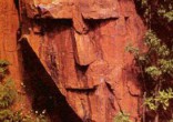Will stones literally Image of Will stones literally