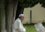 Image of
