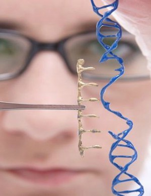 What is the Catholic perspective on gene editing? What is the Catholic perspective on gene editing?
