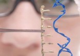 What is the Catholic perspective on gene editing? Image of What is the Catholic perspective on gene editing?