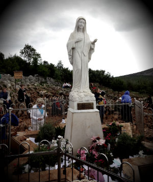 The Virgin Mary did NOT appear in Medjugorje, one bishop states. The Virgin Mary did NOT appear in Medjugorje, one bishop states.