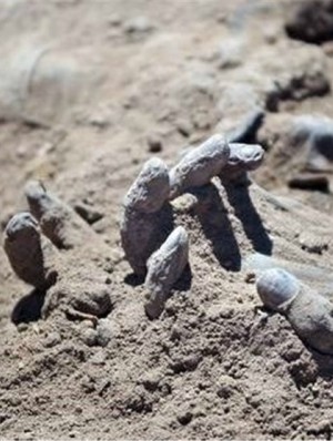 The sight of the bodies dumped in the mass grave brought one soldier to tears. The sight of the bodies dumped in the mass grave brought one soldier to tears.