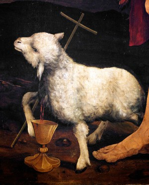 https://www.catholic.org/files/images/ins_news/2017032344.jpg