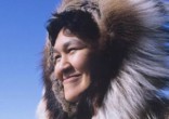 The Inuit may have been aware of the subspecies for generations. Image of The Inuit may have been aware of the subspecies for generations.