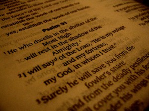Happy World Poetry Day! Happy World Poetry Day!