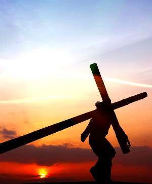 This week is Holy not only because of what we remember but because of what it can accomplish within each one of us as we give our voluntary Yes to its' invitation. This week is Holy not only because of what we remember but because of what it can accomplish within each one of us as we give our voluntary Yes to its' invitation.