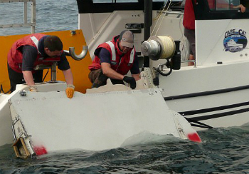 Scientists testing the flaperon discovered it floats uniquely, changing the results of their tests. Scientists testing the flaperon discovered it floats uniquely, changing the results of their tests.