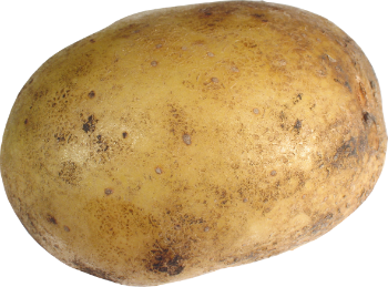 Did Pope Francis call the Virgin Mary a couch potato? Did Pope Francis call the Virgin Mary a couch potato?