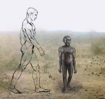 A hobbit man compared to a modern human. A hobbit man compared to a modern human.