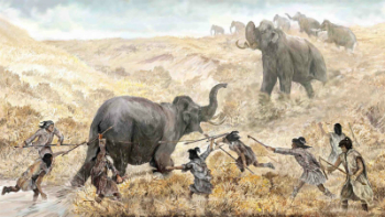 Did prehistoric humans slay a mastodon outside modern San Diego 130,000 years ago? Did prehistoric humans slay a mastodon outside modern San Diego 130,000 years ago?