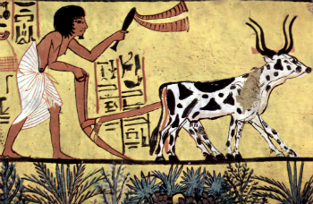 Egyptian civilization was among the first to perfect neolithic agriculture. Were these developments forced by a cosmic cataclysm? Egyptian civilization was among the first to perfect neolithic agriculture. Were these developments forced by a cosmic cataclysm?