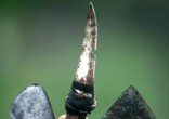 FGM is happening in the U.S. Image of FGM is happening in the U.S.